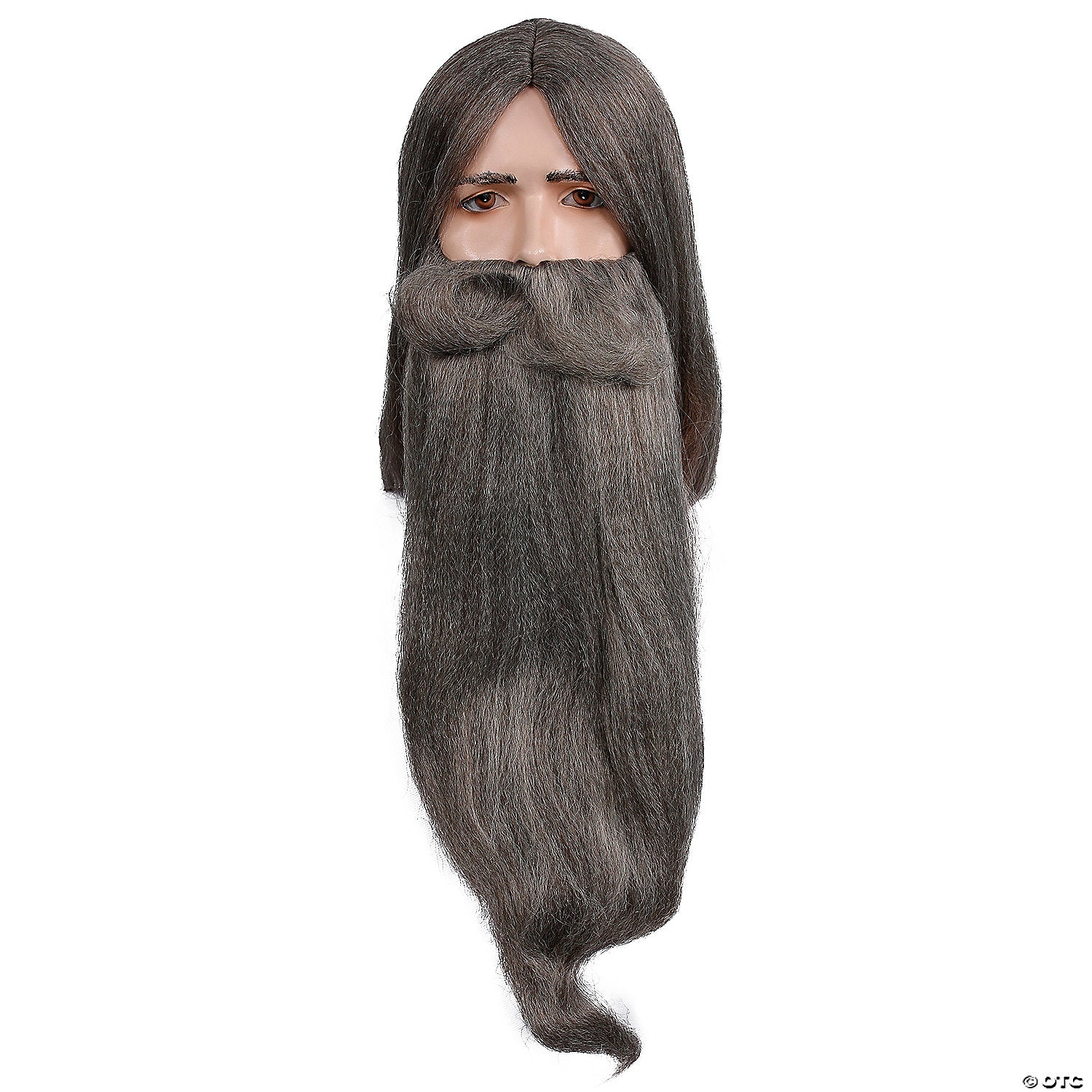 wizard wig & beard set~lw652lgy