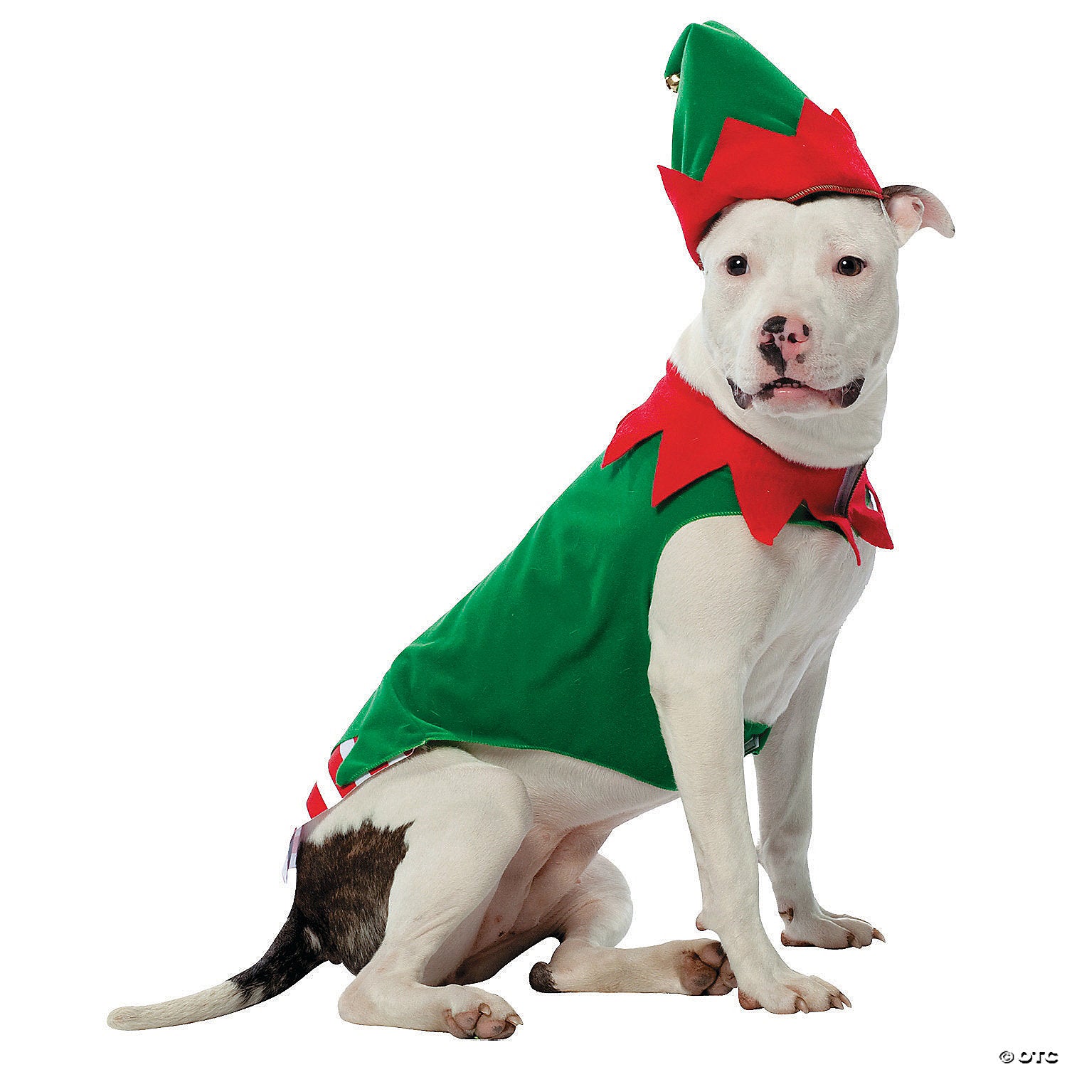 pet costume elf ex large~gc5028xl