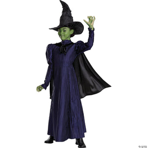elphaba deluxe 7 8~dg166389k