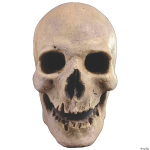 trick or treat studios antique skull mask collectible~macd102