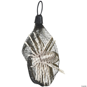 5 spider skeletons bag of 3~ss79165