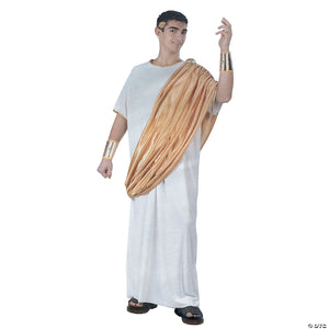 men s julius caesar costume standard~aa68