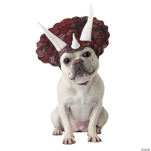 animal planet triceratops dog costume~cc20104sm