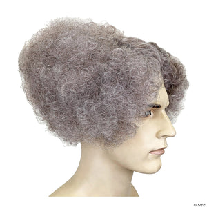 adults gray mad scientist wig~lw116mo-a03