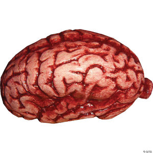 realistic brain prop halloween decoration~85013