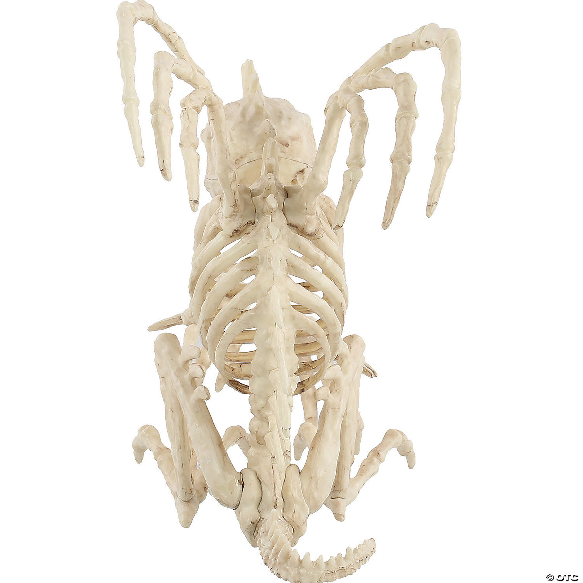 10 skeleton gargoyle decoration~sew81858-a03