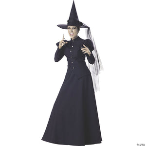 women s wicked witch deluxe costume extra large~ic1022xl