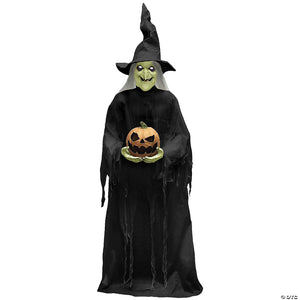 7 witchy witch animated prop~tt59096g-a06