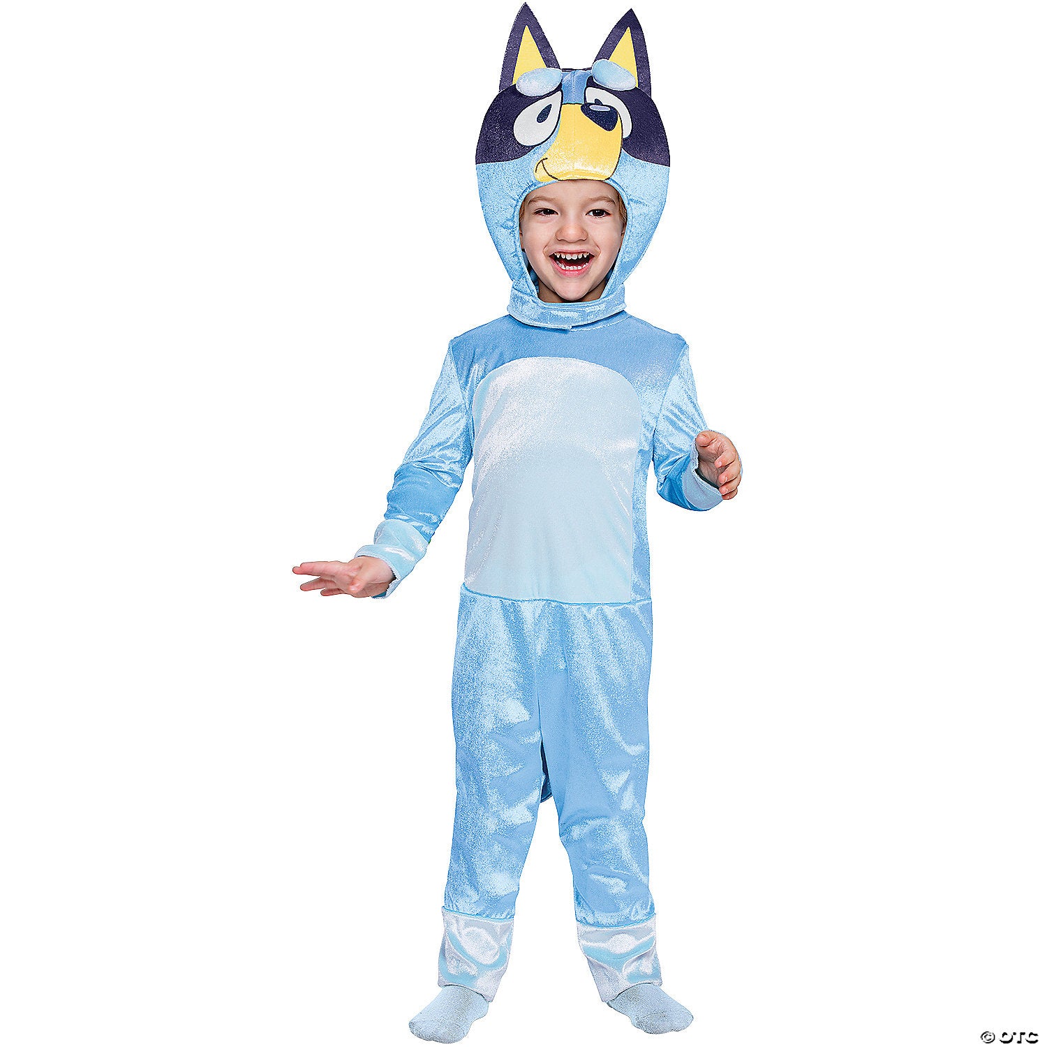 toddler classic bluey costume 2t~dg121079s