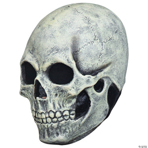 skull glow mask~tb26900