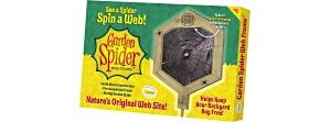 garden-spider-web-frame-is-the-perfect-spider-condo-55.png