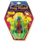 giant-visible-model-frog-is-see-through-55.png