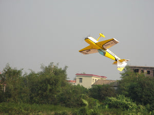 goldwing-extra-260-remote-control-airplane-77.png
