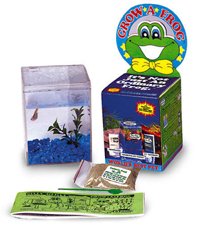 grow-a-frog-planet-kit-lets-you-raise-a-real-frog-w-habitat-too-77.png