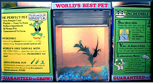 grow-a-frog-planet-kit-lets-you-raise-a-real-frog-w-habitat-too-81.png