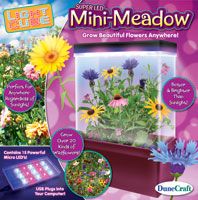 grow-a-mini-meadow-light-cube-22.jpg