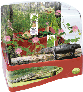 grow-a-swamp-thing-garden-33.png