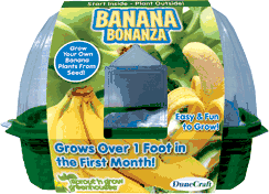 grow-your-own-banana-bonanza-24.jpg