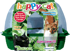 grow-your-own-happy-catnip-22.jpg