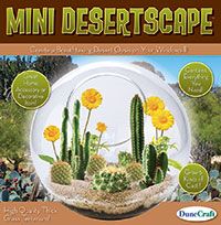 grow-your-own-mini-desertscape-glass-terrarium-24.jpg