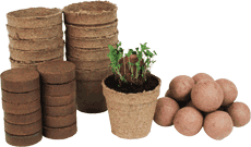 grow-your-own-seed-stones-classroom-kit-24.jpg