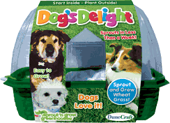 grow-your-own-wheat-grass-dog-s-delight-tasty-treat-24.jpg