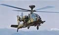 hasegawa-07242-1-48-ah-64d-apache-longbow-jgsdf-35.jpg