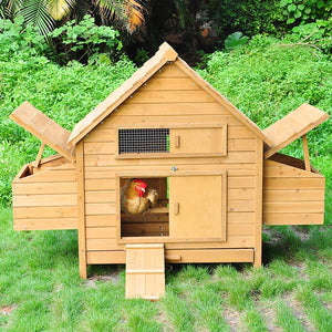 huge-6-chicken-poultry-coop-wooden-hen-house-backyard-run-47.png