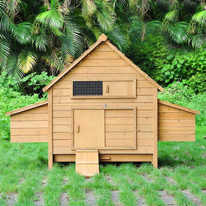 huge-6-chicken-poultry-coop-wooden-hen-house-backyard-run-49.png