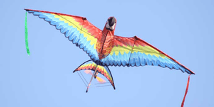 huge-electric-remote-control-rc-kite-flies-500-feet-high-76.png