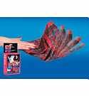 hyrum-the-haunted-hanky-magic-handkerchief-trick-53.png