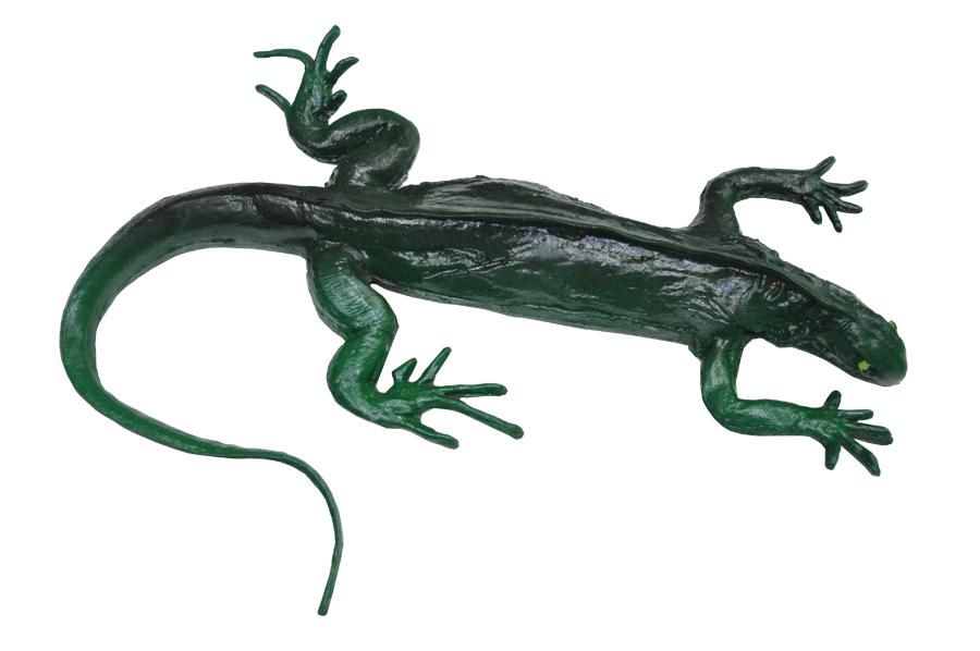 iguana-jumbo-33.png