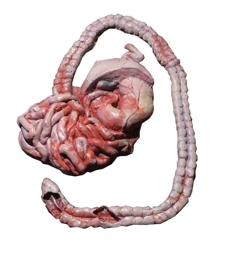 intestines-35.png