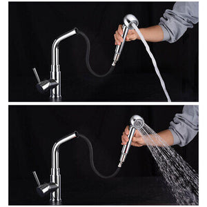 kitchen-dual-function-sink-faucet-pull-out-spout-mixer-taps-sprayer-restaurant-91.png
