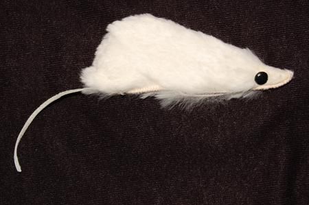 lab-rat-white-33.png