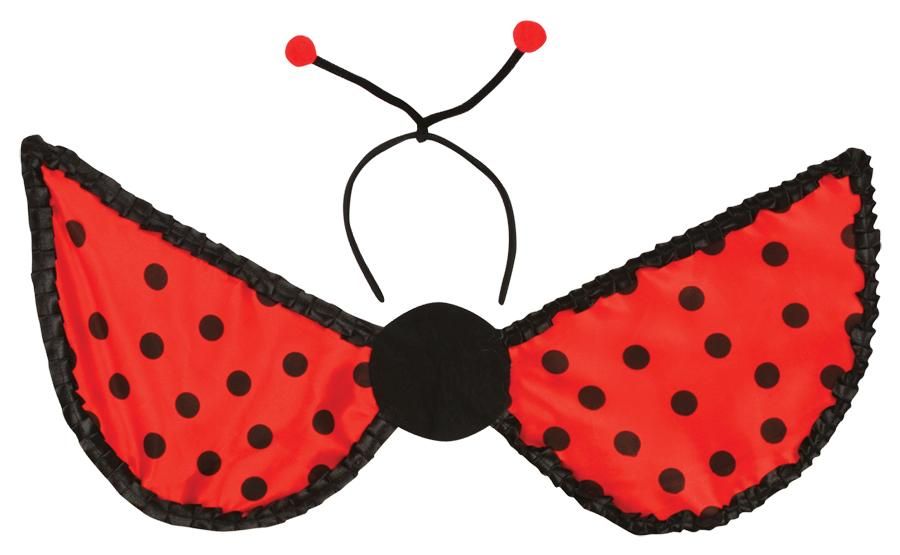lady-bug-kit-adult-35.png