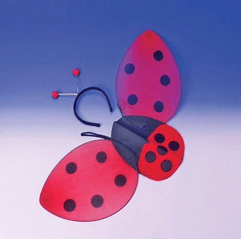 lady-bug-kit-child-44.png