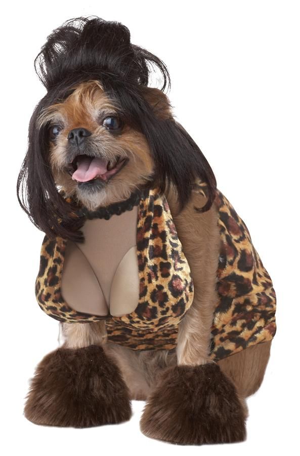 lady-is-a-tramp-pet-medium-35.png