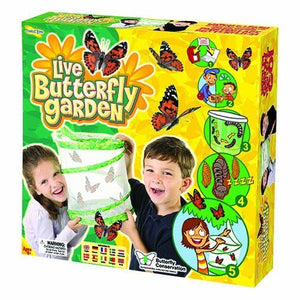 live-butterfly-garden-hatching-kit-by-insect-lore-47.png