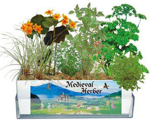 medieval-times-grow-garden-49.png