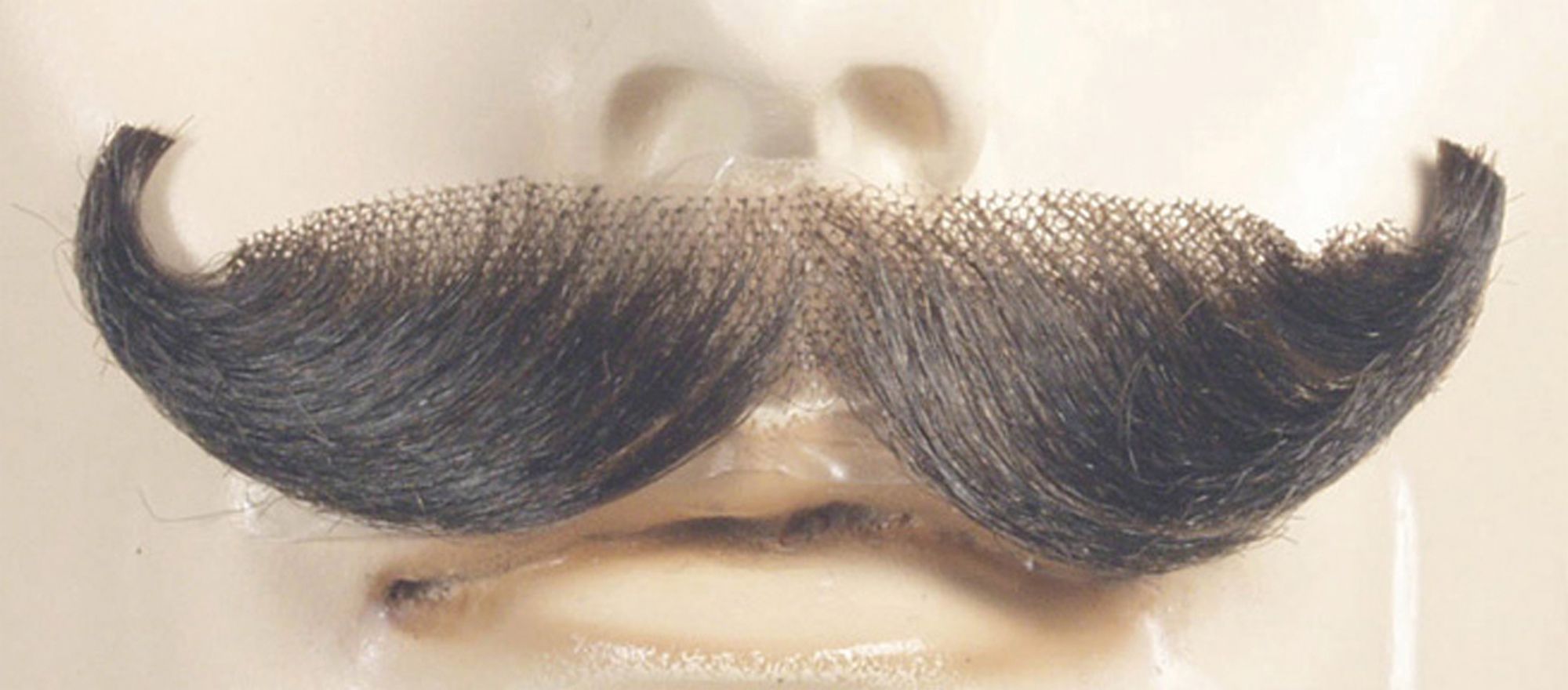 must-english-blend-m-c-bn-6-costume-20.png