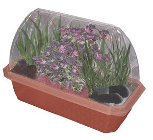 offical-dragon-s-lair-video-game-greenhouse-w-pet-dragon-grows-all-year-47.png