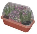 offical-dragon-s-lair-video-game-greenhouse-w-pet-dragon-grows-all-year-51.png