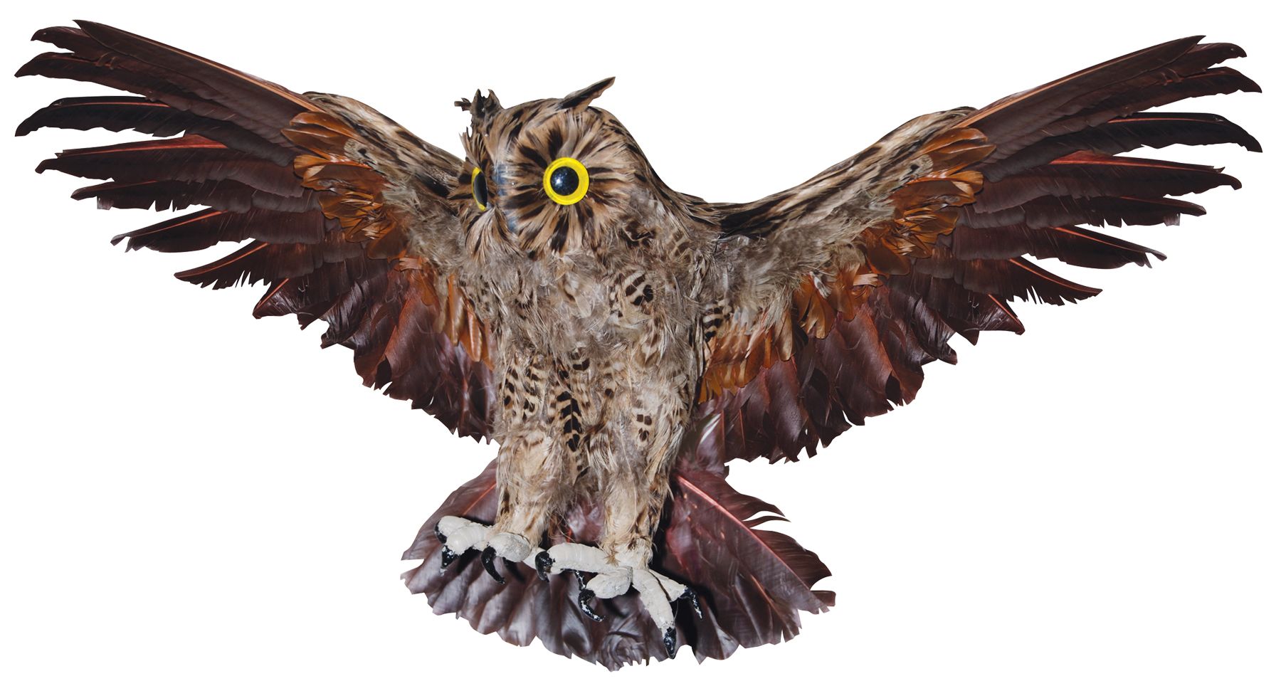 owl-brown-19-inch-costume-20.png