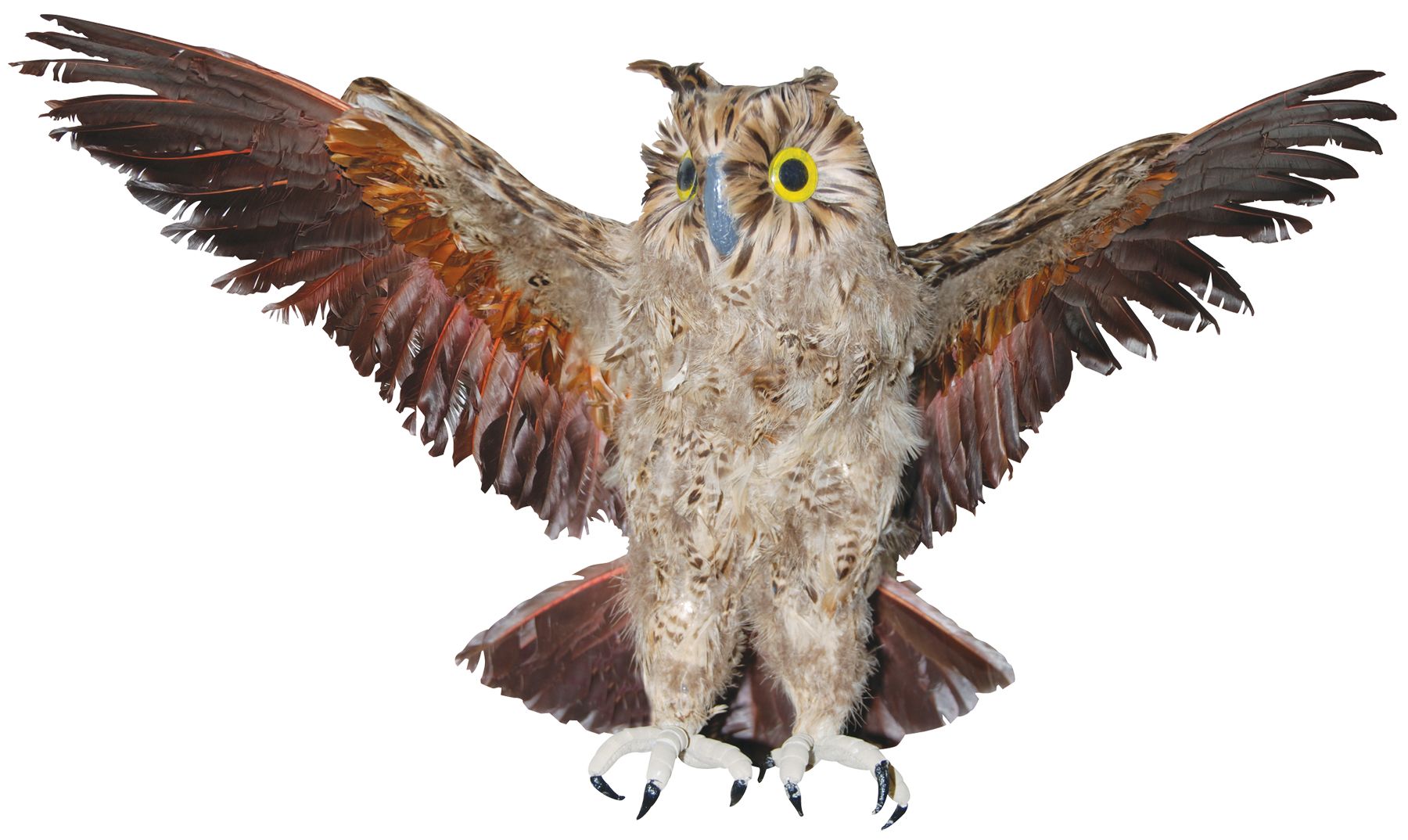 owl-brown-28-inch-costume-20.png