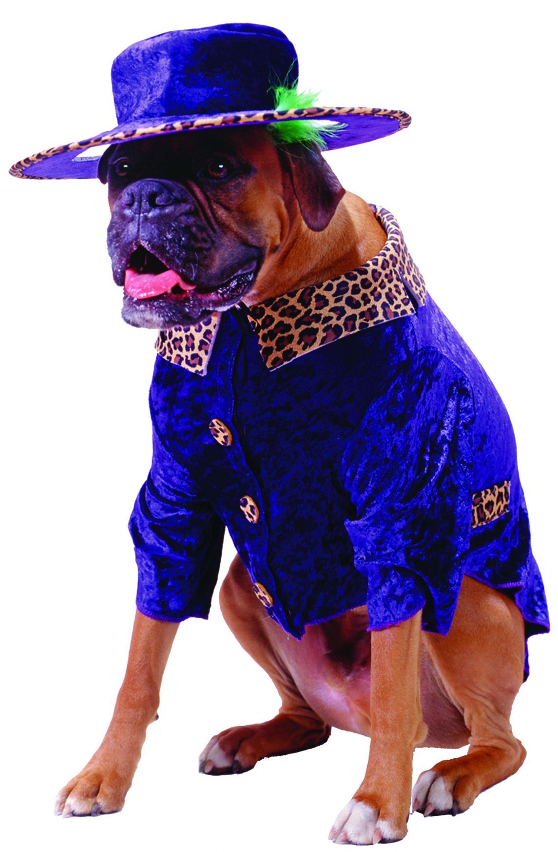 pet-costume-big-daddy-52.png