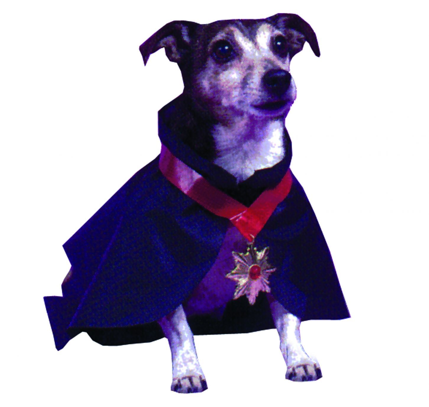 pet-costume-dracula-50.png