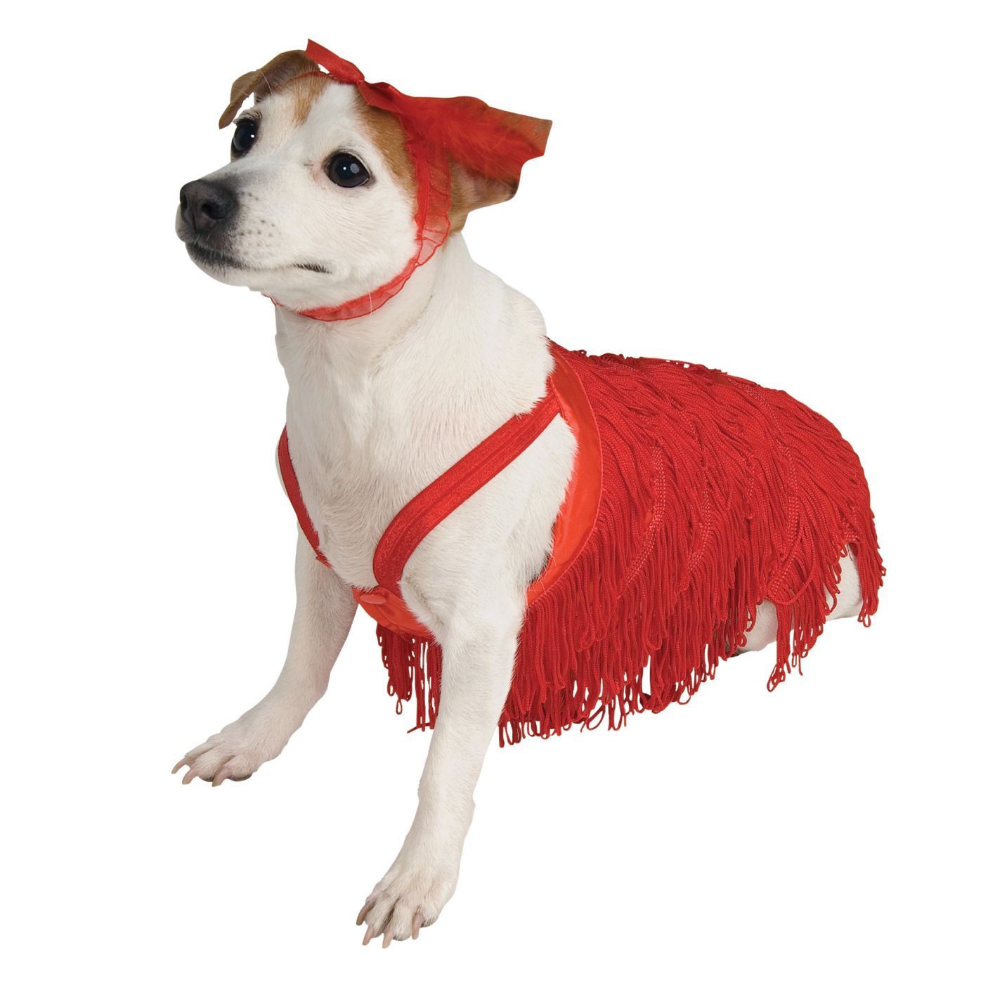 pet-costume-flapper-large-costume-30.png