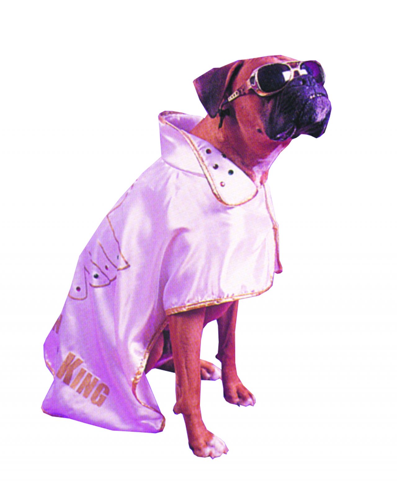 pet-costume-hound-dog-52.png