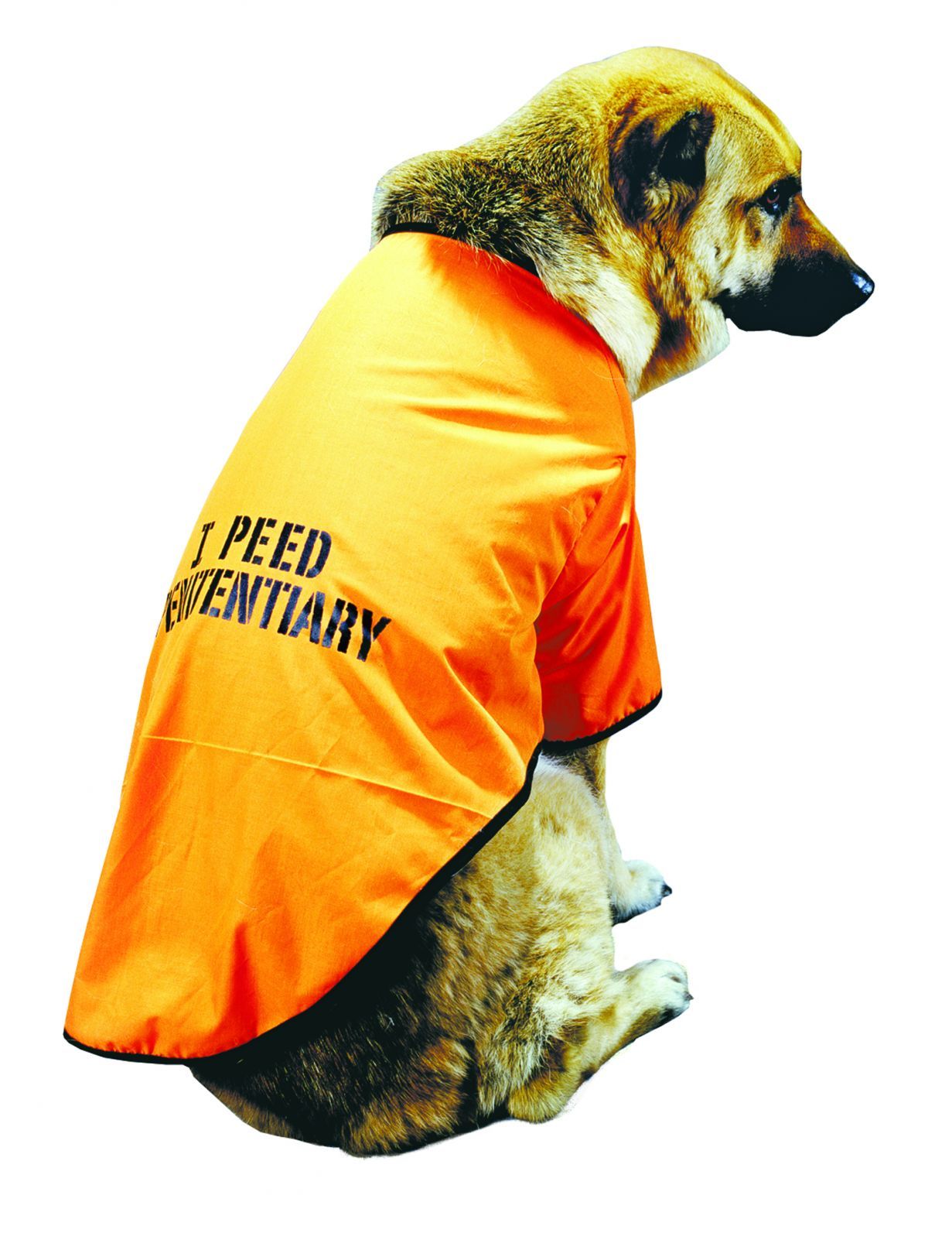 pet-costume-i-peed-52.png